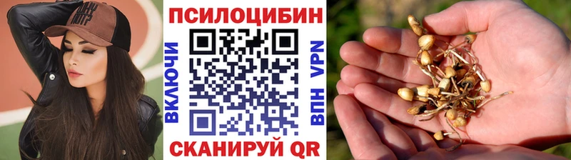 Галлюциногенные грибы мицелий Мураши