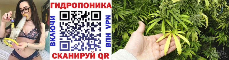 Бошки Шишки LSD WEED мега ONION Мураши